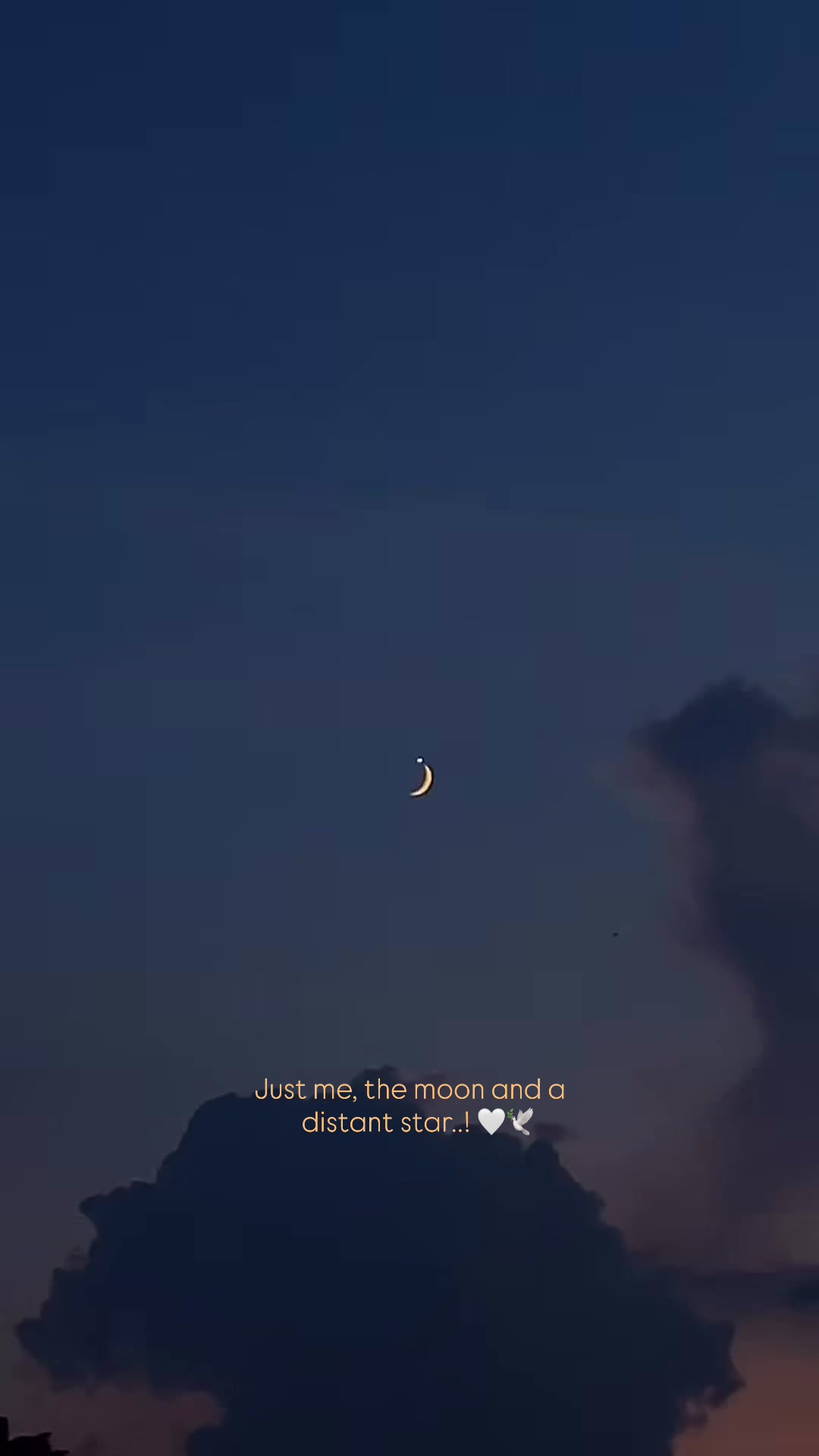 @_s4k1b_