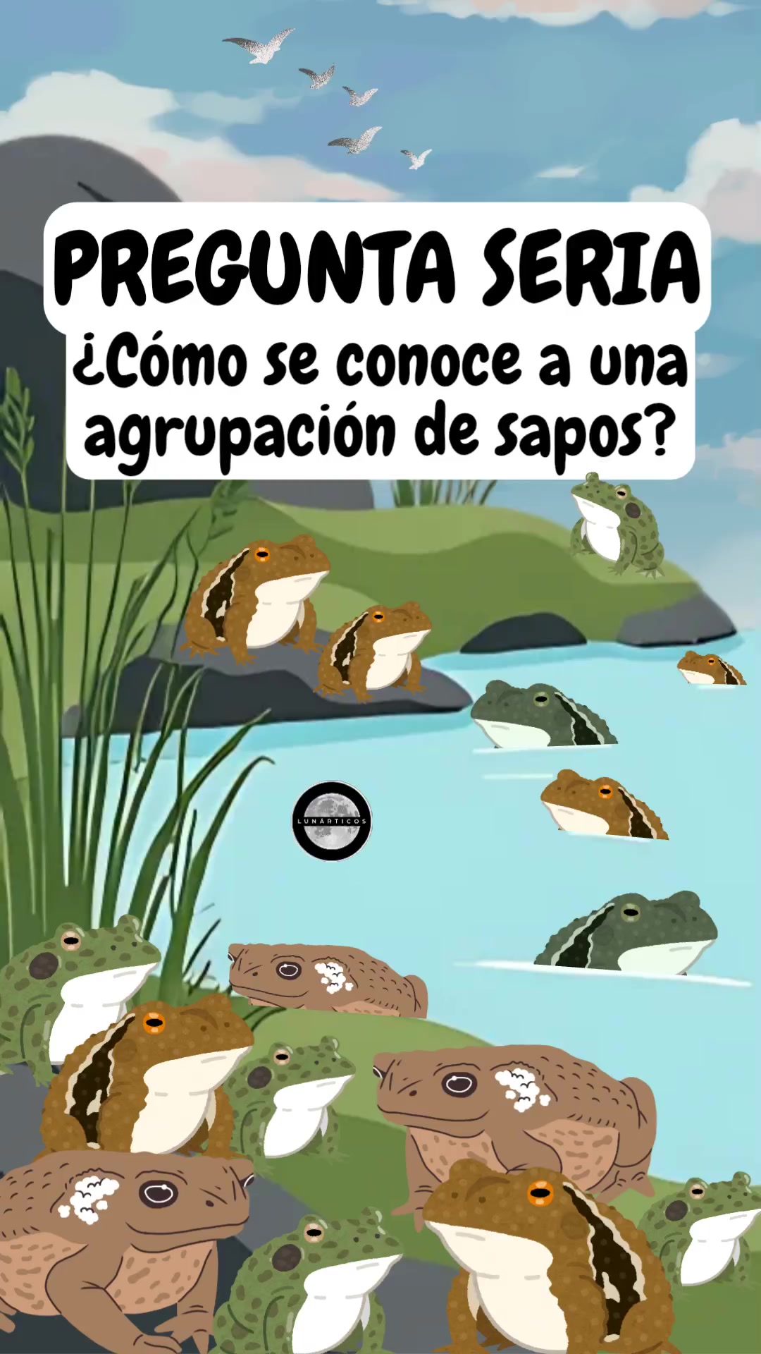 @Lun&aacute;rticos