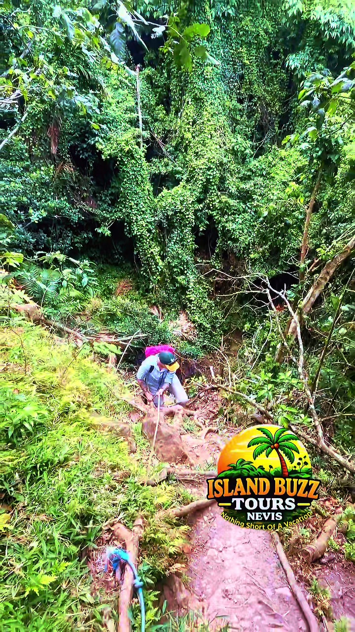 @Island Buzz Tours Nevis