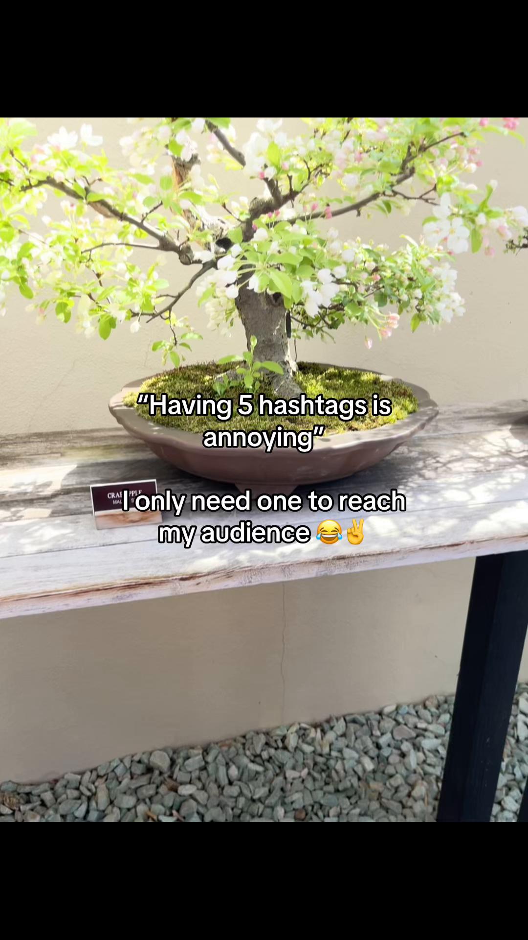 @shinobustastymilk
