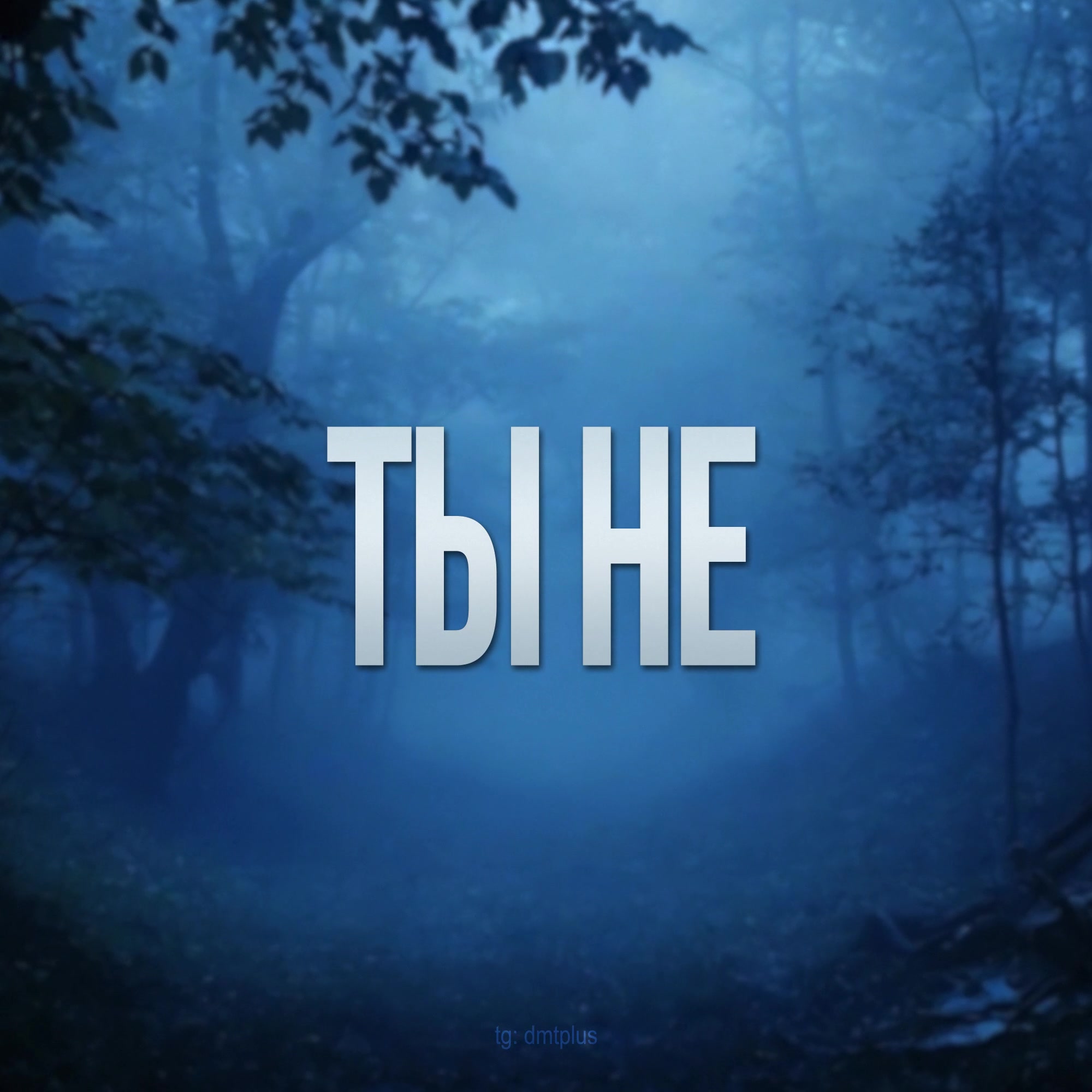 @dmt +