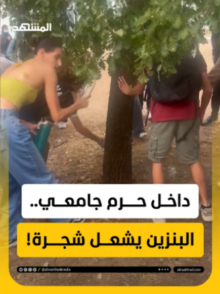 @Al Mashhad المشهد