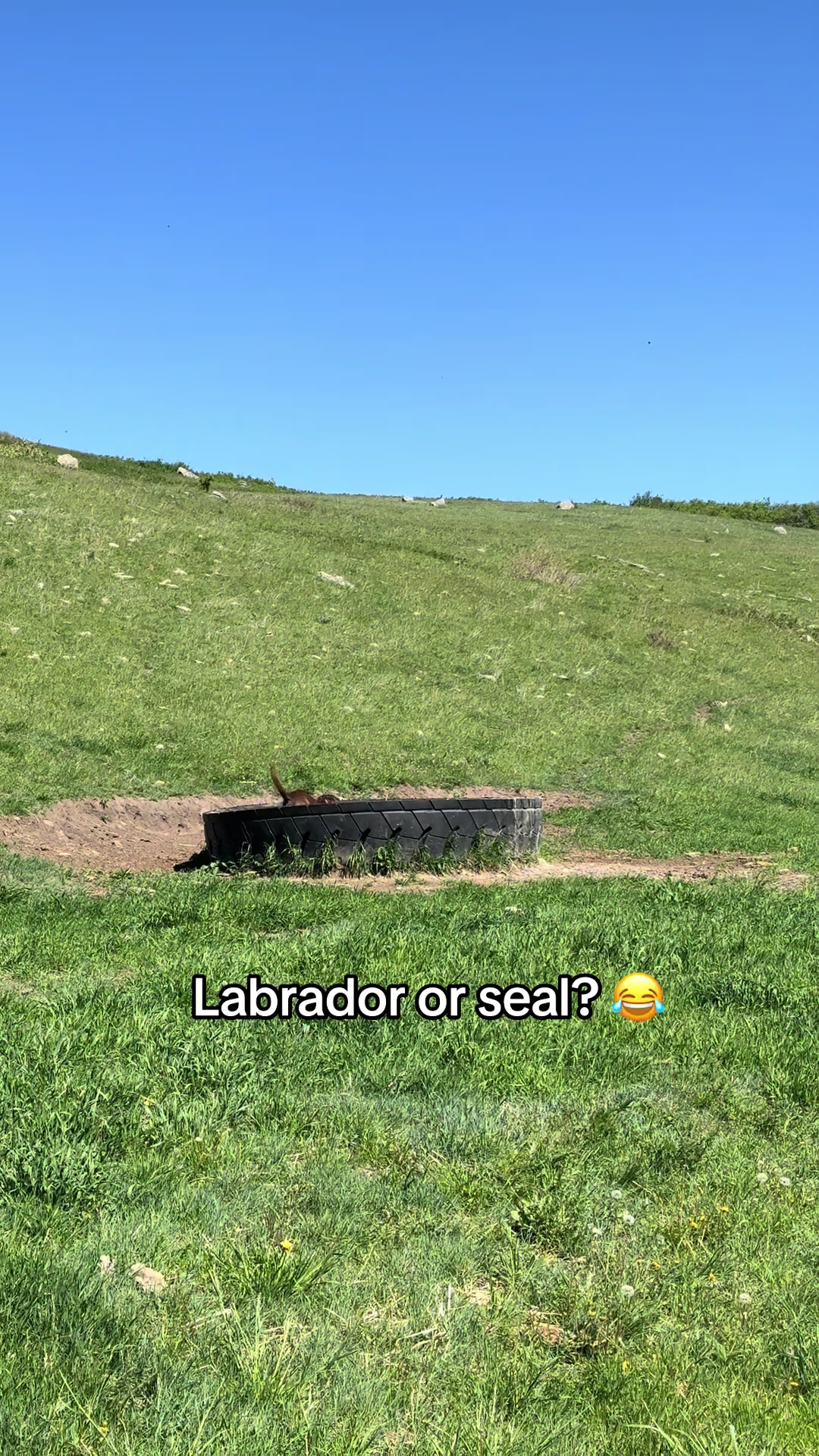 @HikingGal