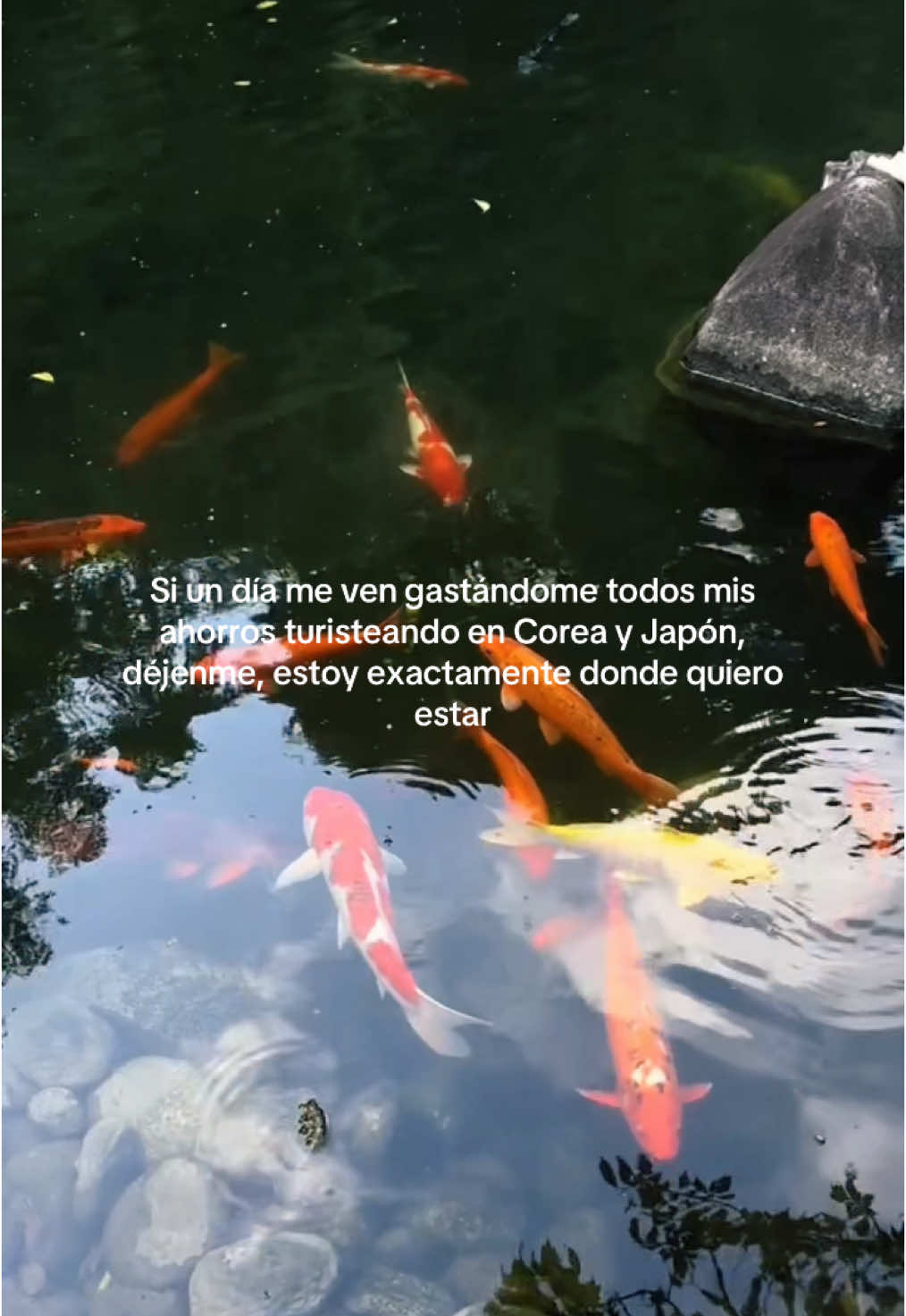 @Santiago Mijangos