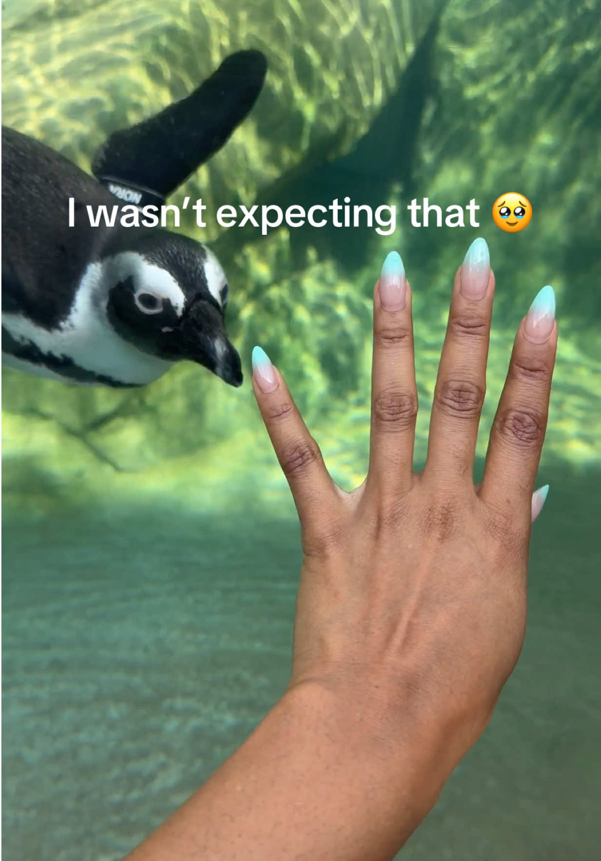 @Jazmin Bloom