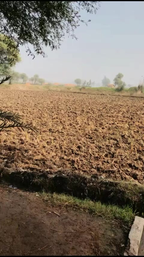 @ایڈوکیٹ سجاد علی۔