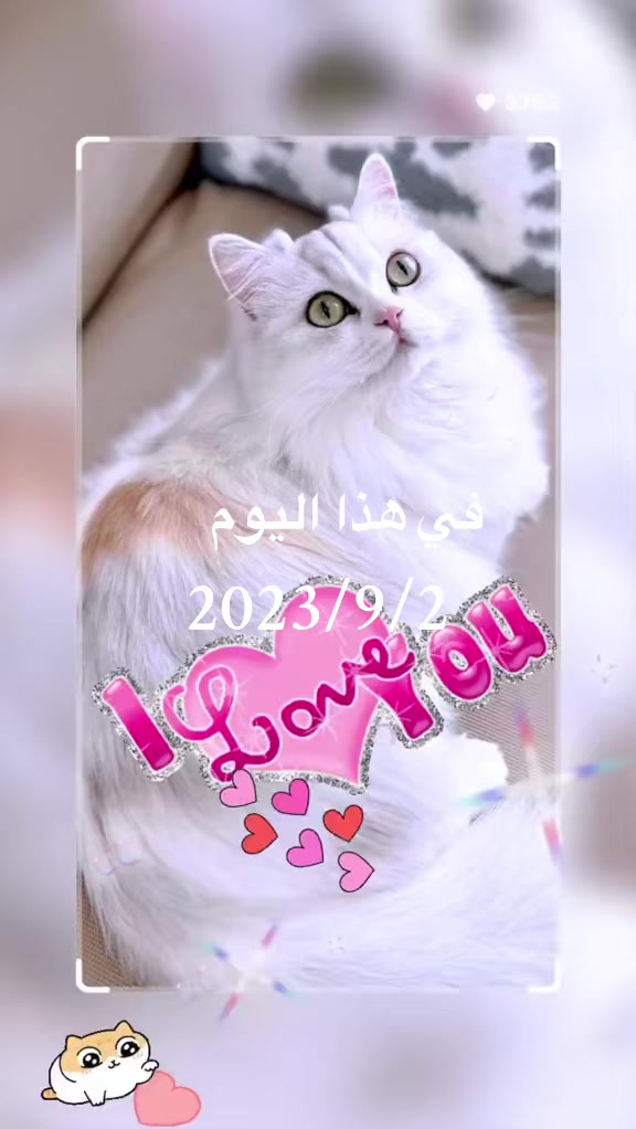 @القطط الجميلة
