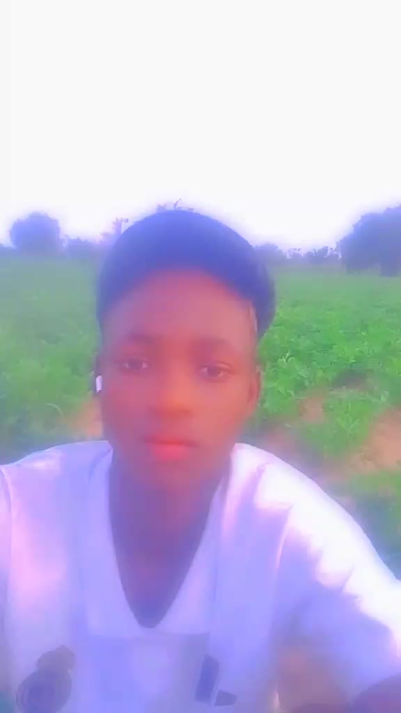 @faye cheikh
