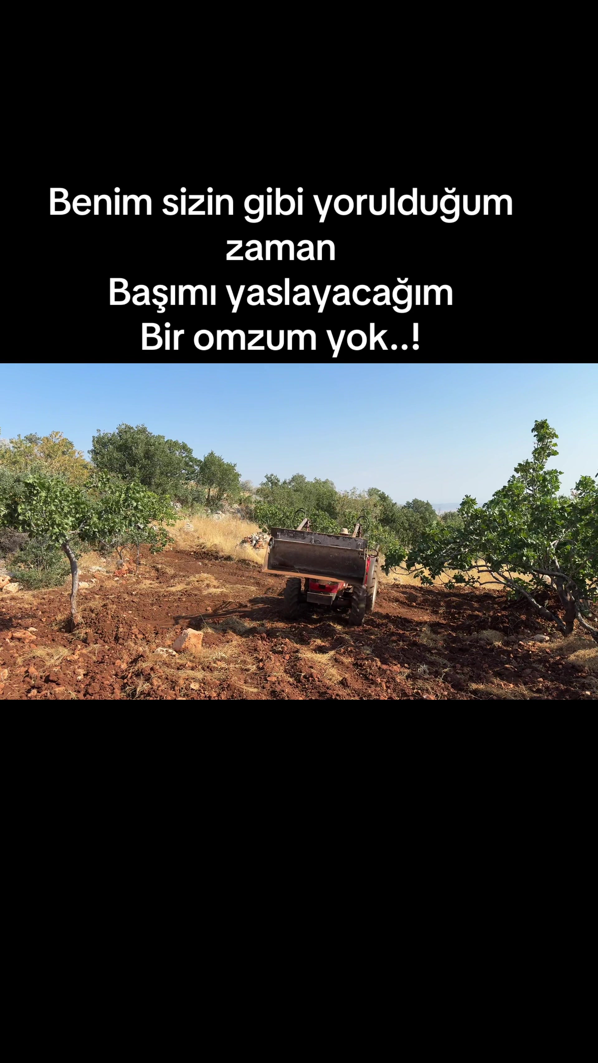@tasiyicifurkan