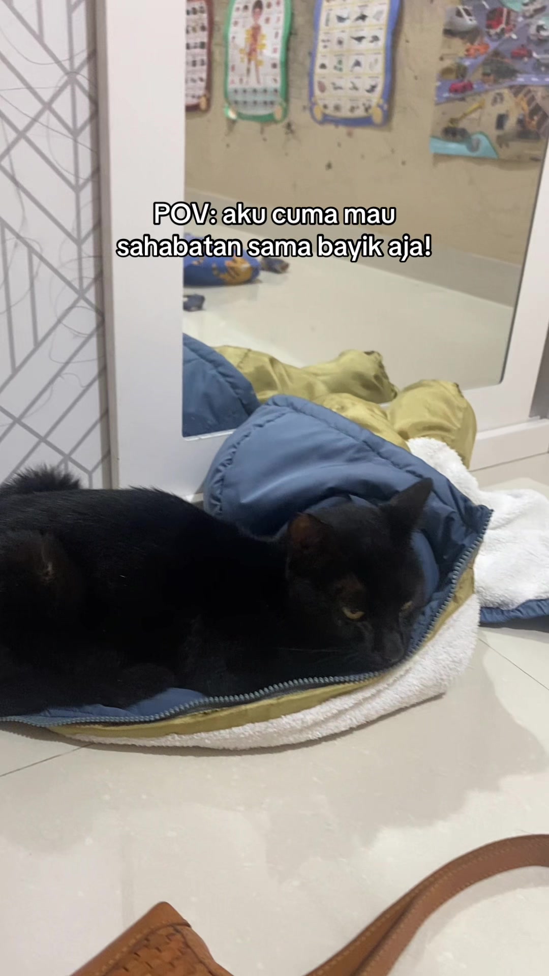 @Haqhaqcatsnfams