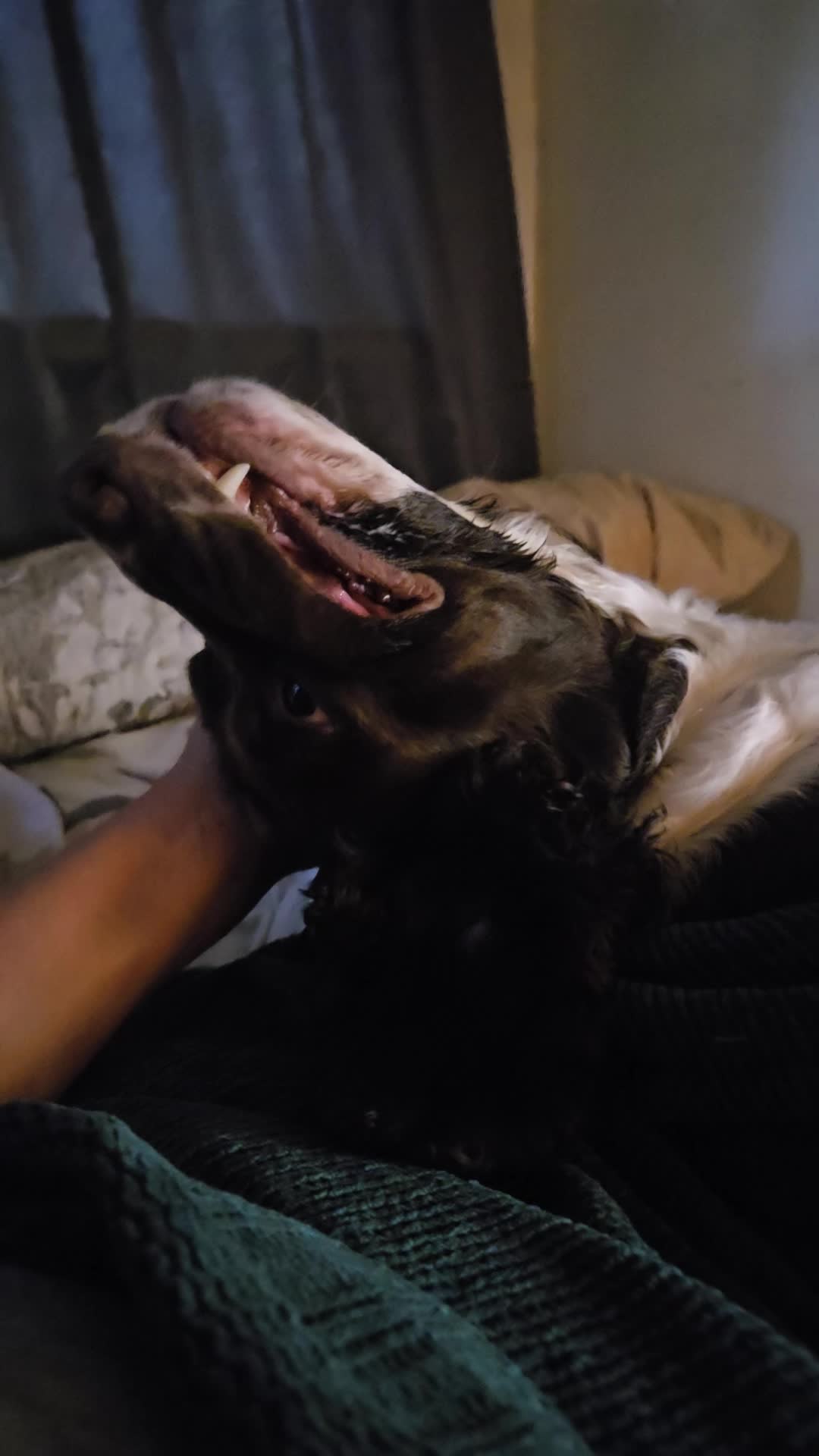 @Bugsy Oliver and his mama Lee