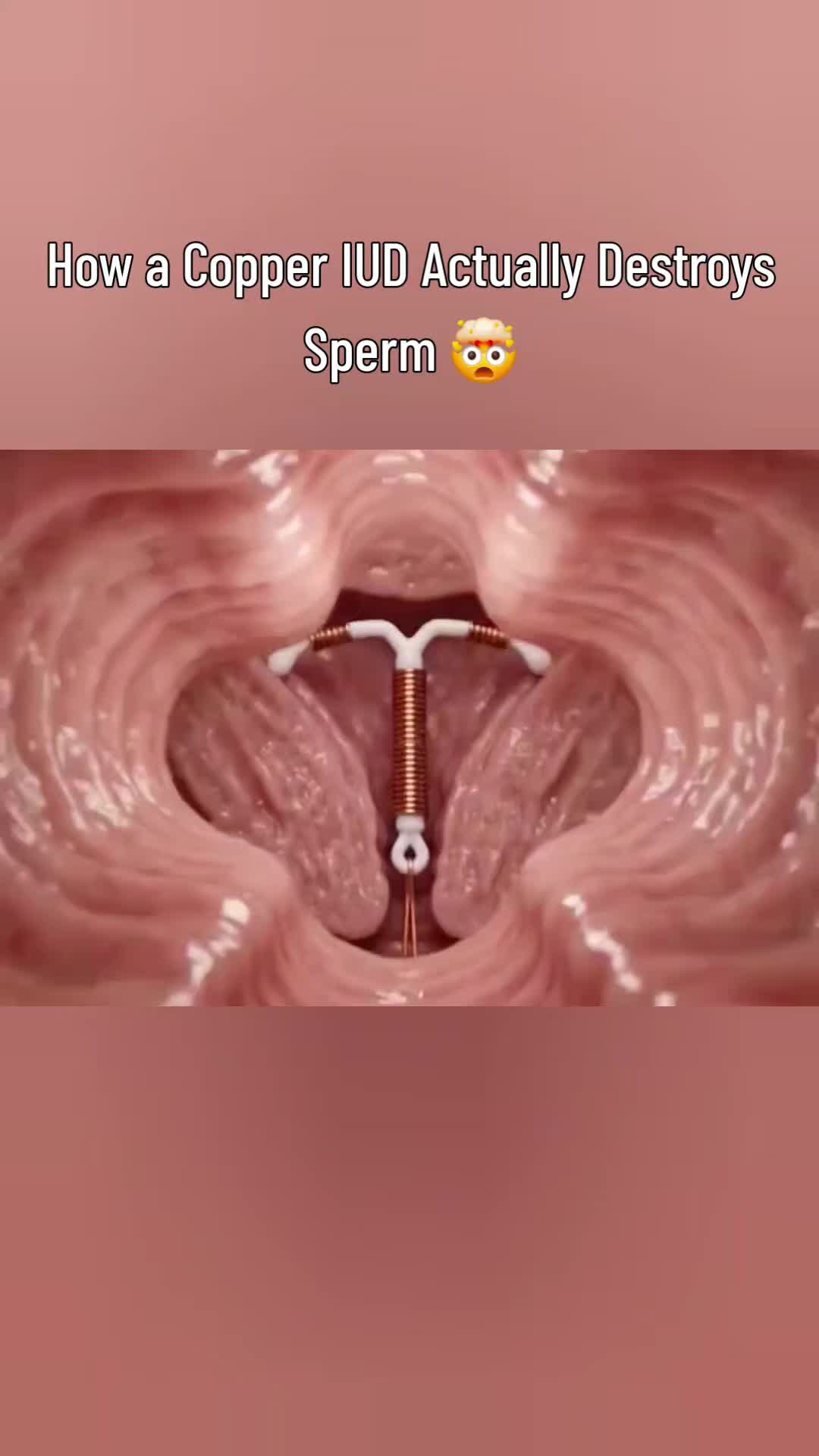 @femniverse 3