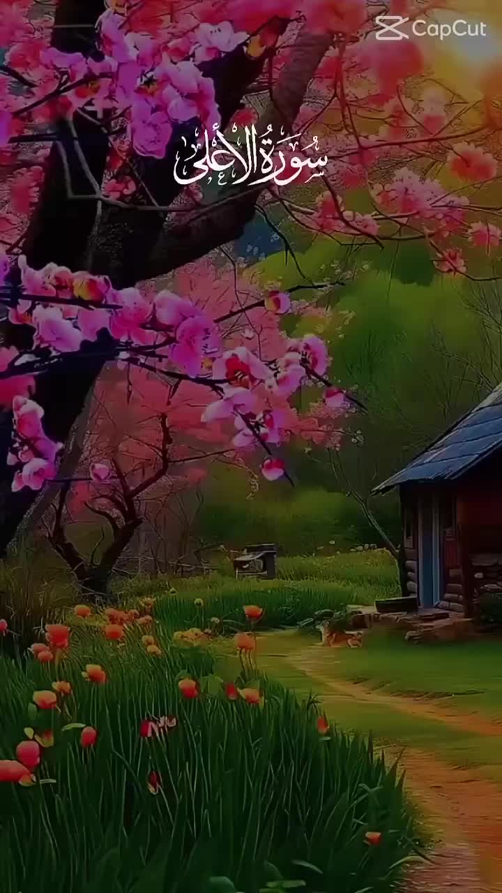 @Mubarak khan