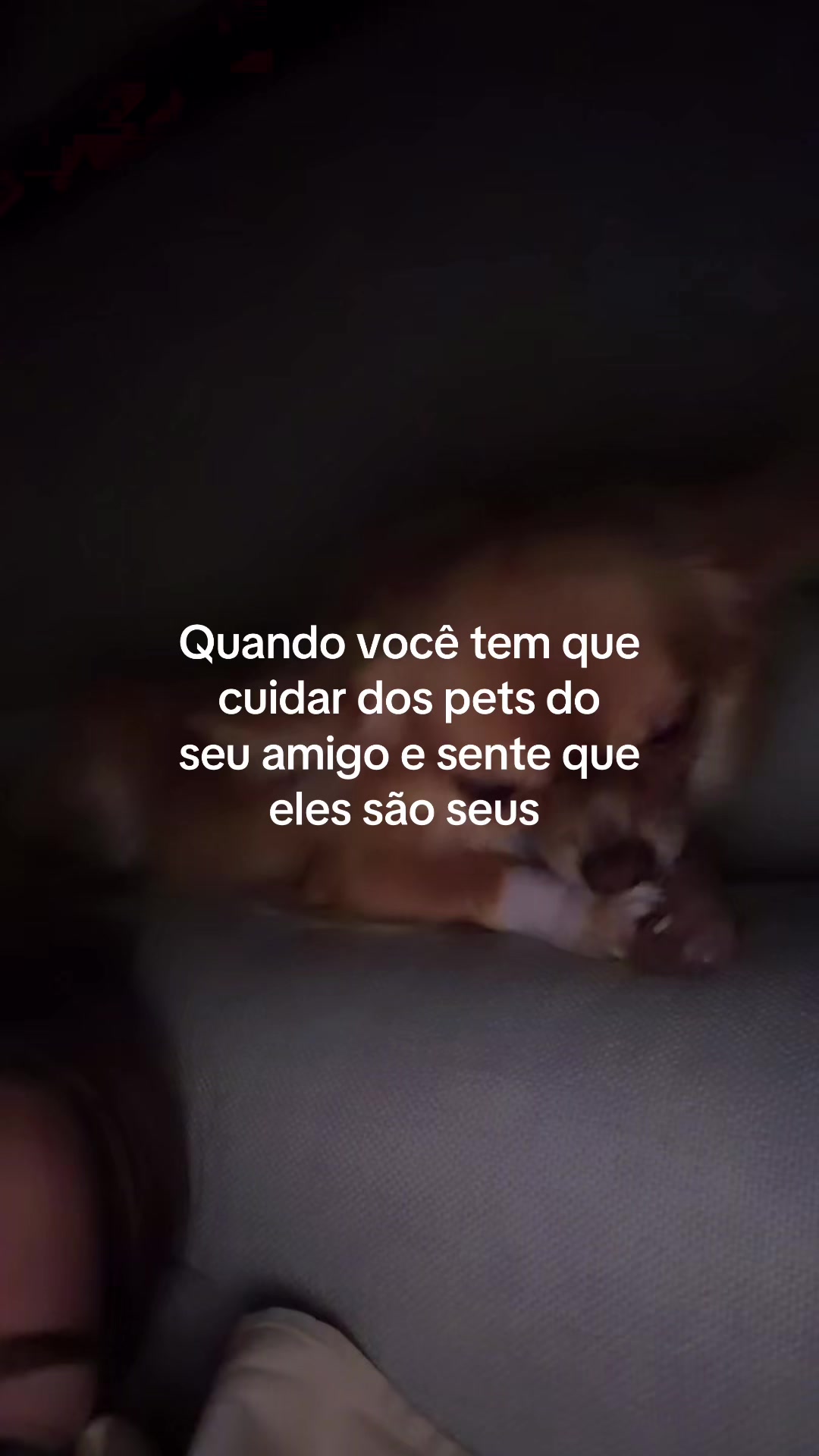 @bru