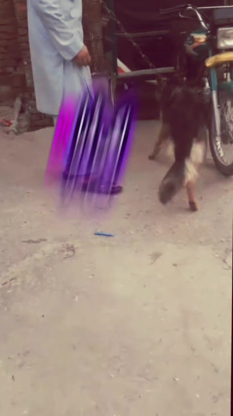 @Atifkhan 404☠️
