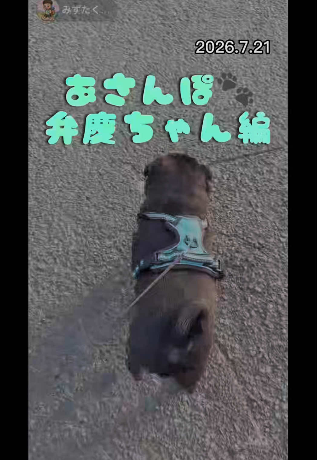 @ãããð§ð«§