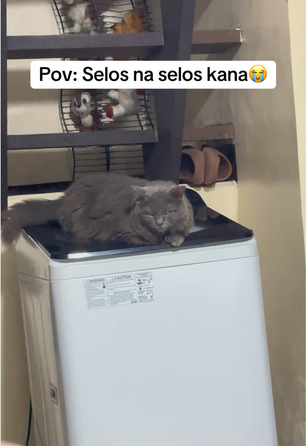 @Celes tine