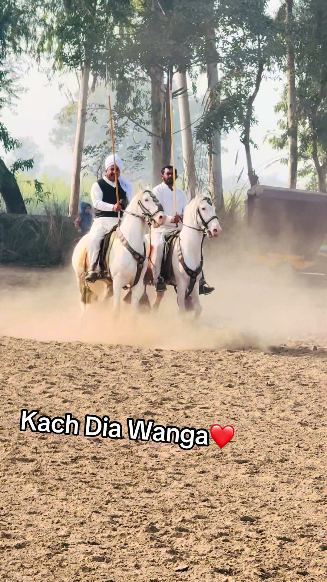 @Gujjarkingclub Chakora