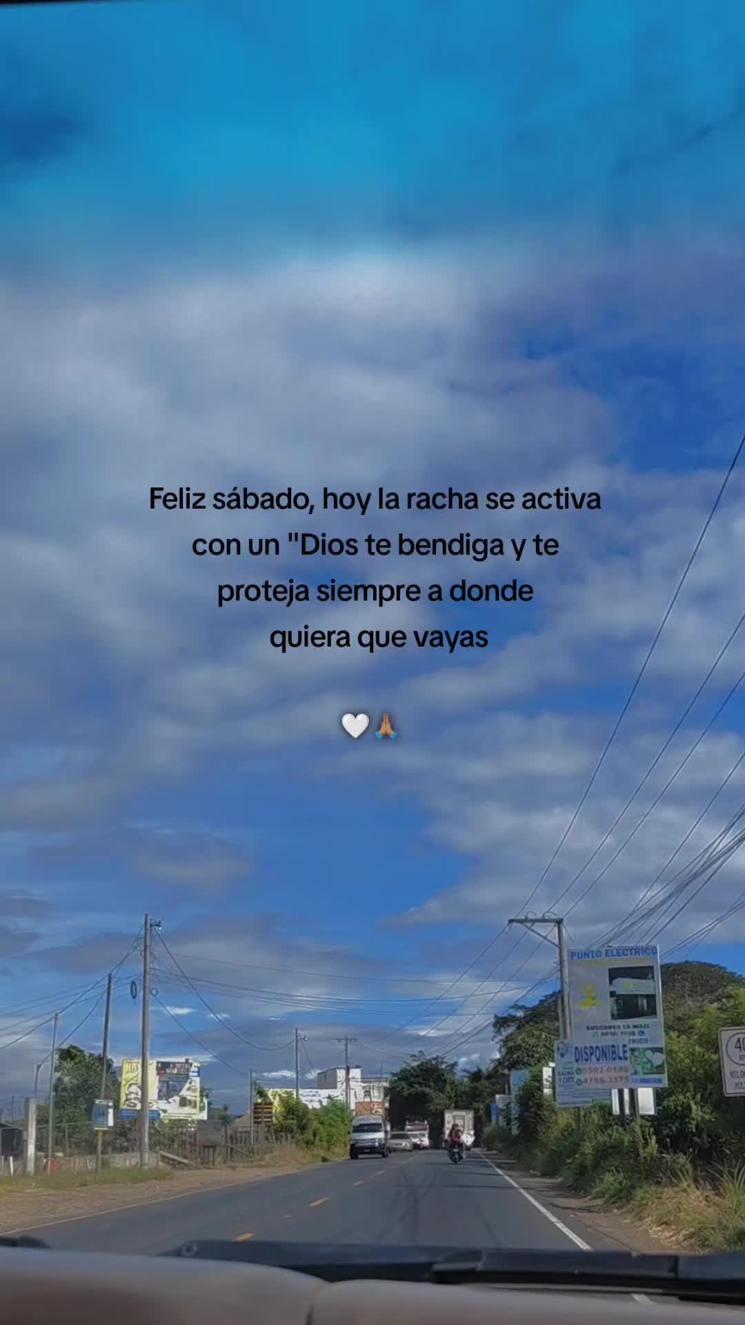 @Linda Cardona 🪼🪐