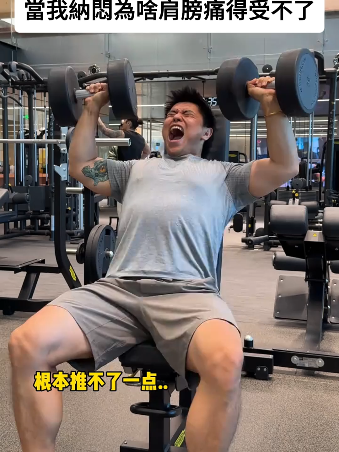 @甲鬼甲怪