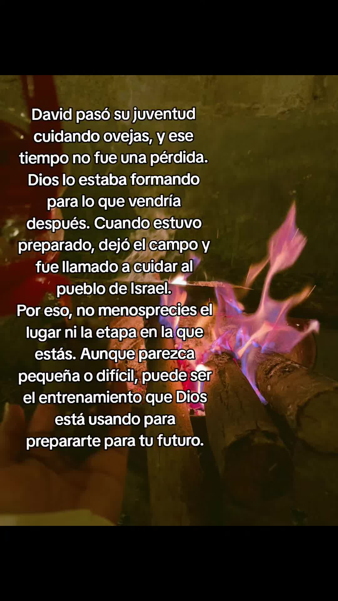 @Alexandra.