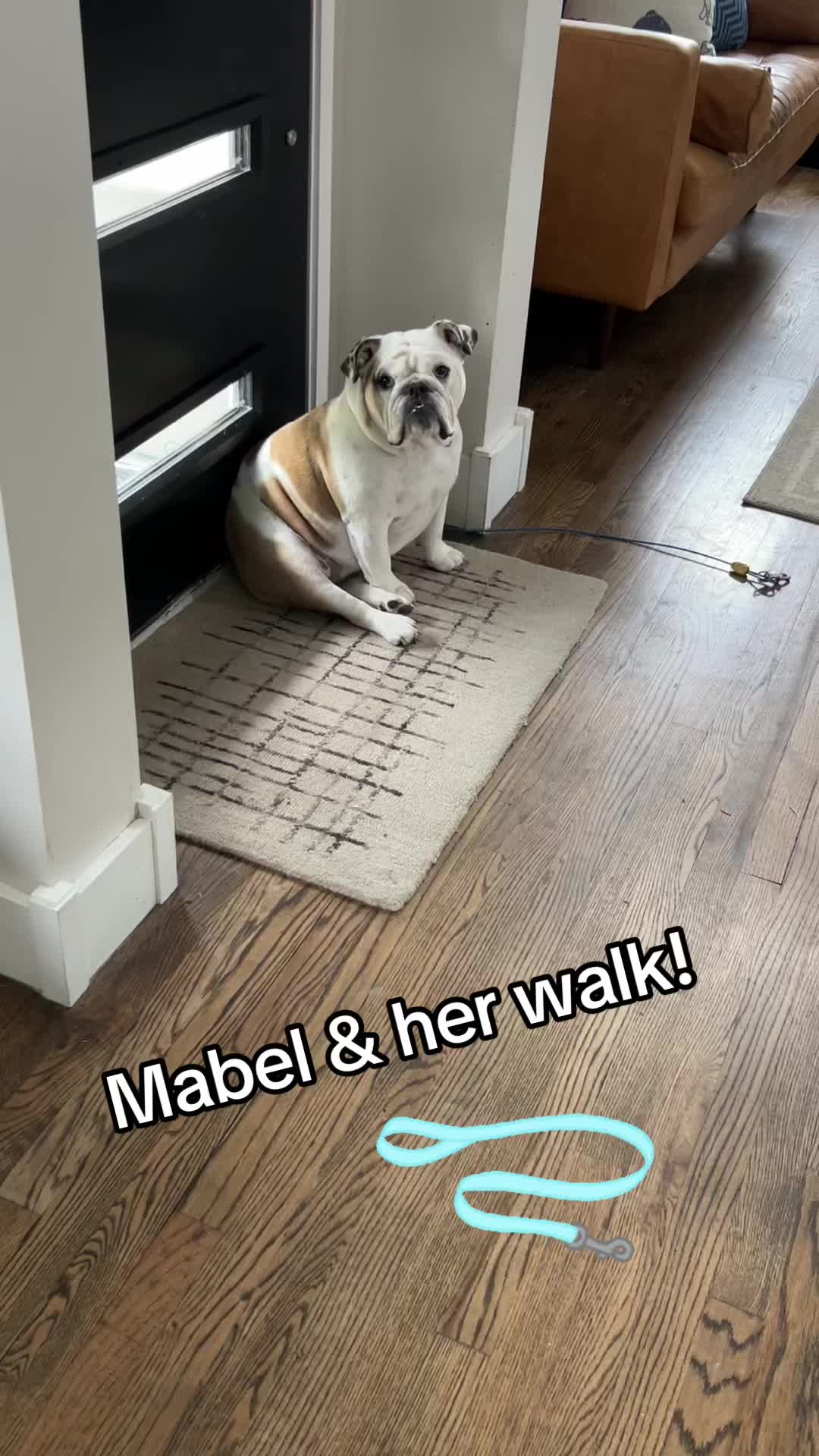 @MabeltheBulldog