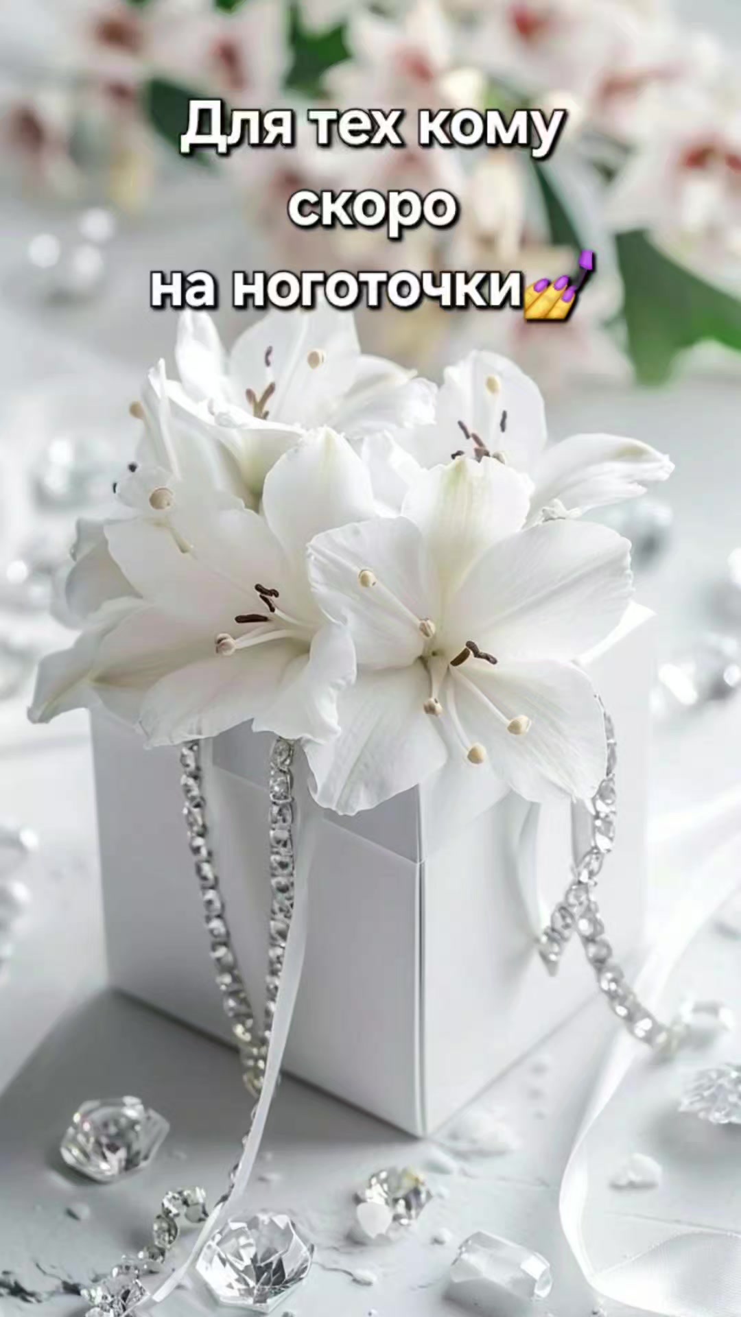 @Marishka