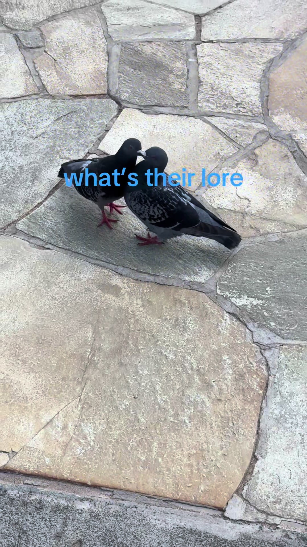 @lex!