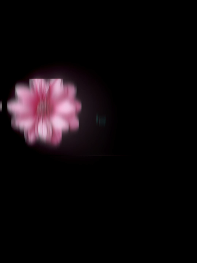 @『 रा हुल 』