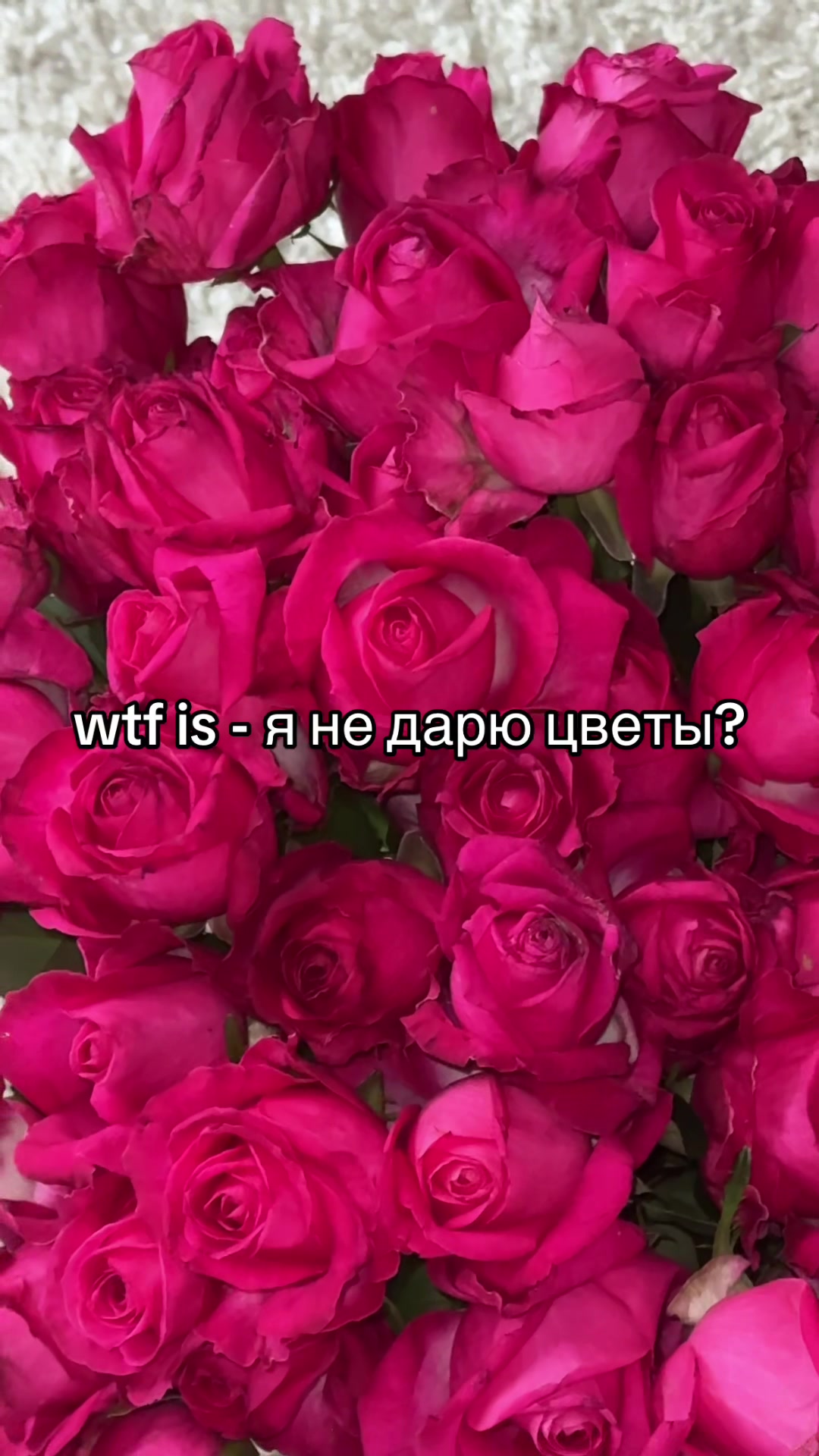 @laarkinaa