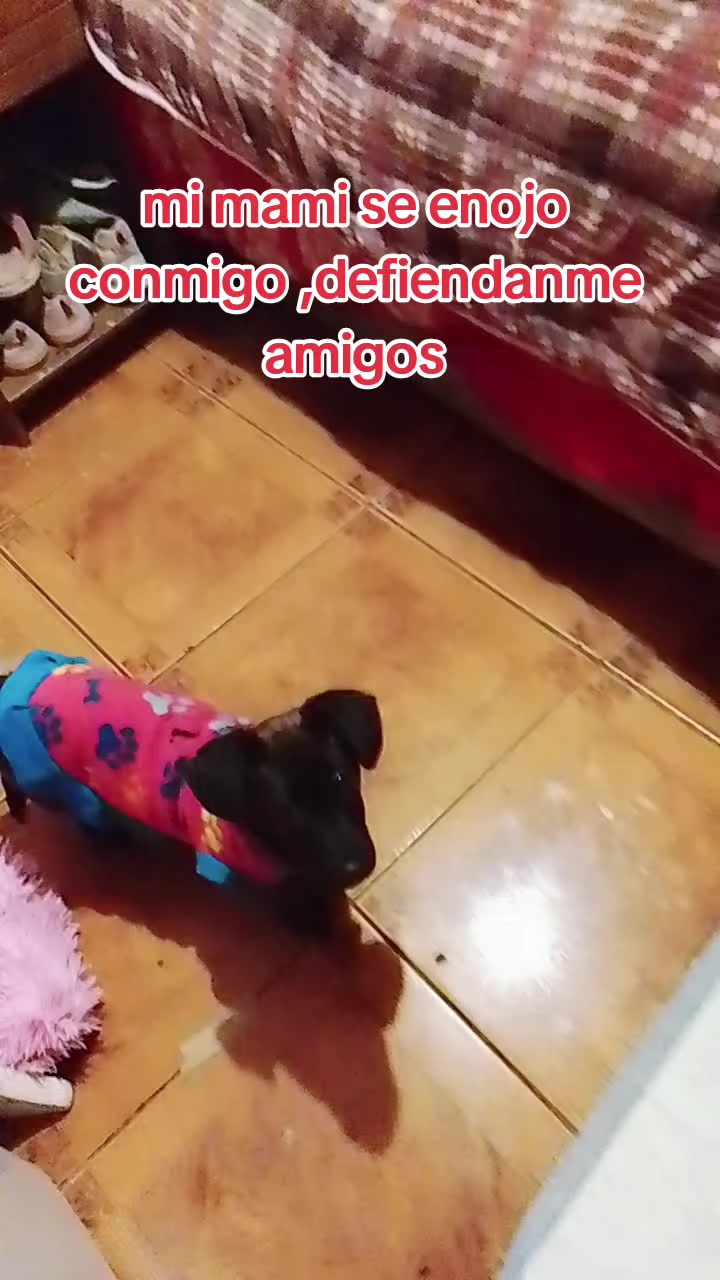 @Canelita@la bonita