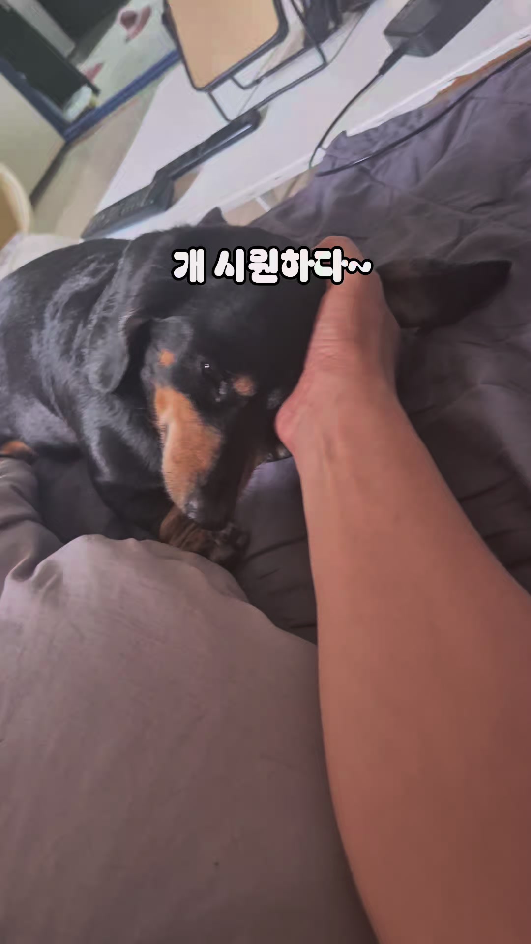 @코코대디