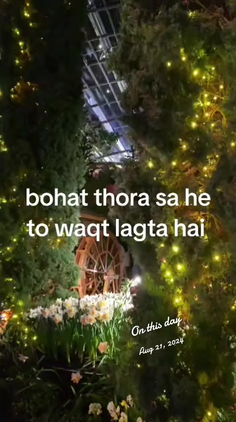 @Shamila Shad