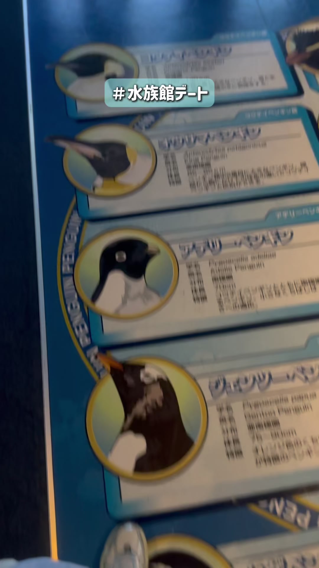 @旅するポンコツ
