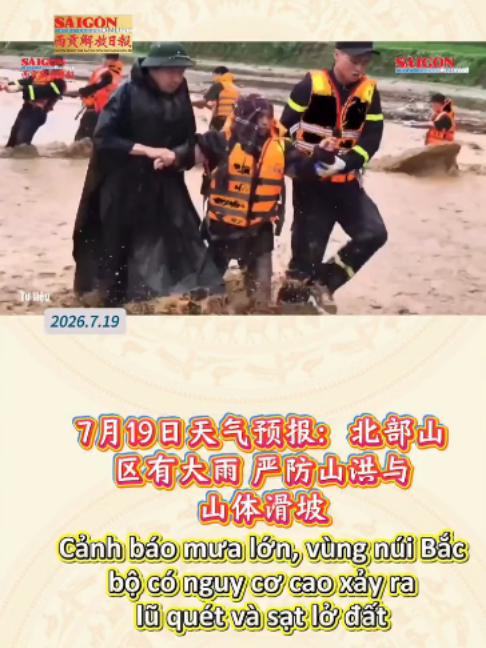 @西贡解放日报-Báo SGGP bản Hoa văn