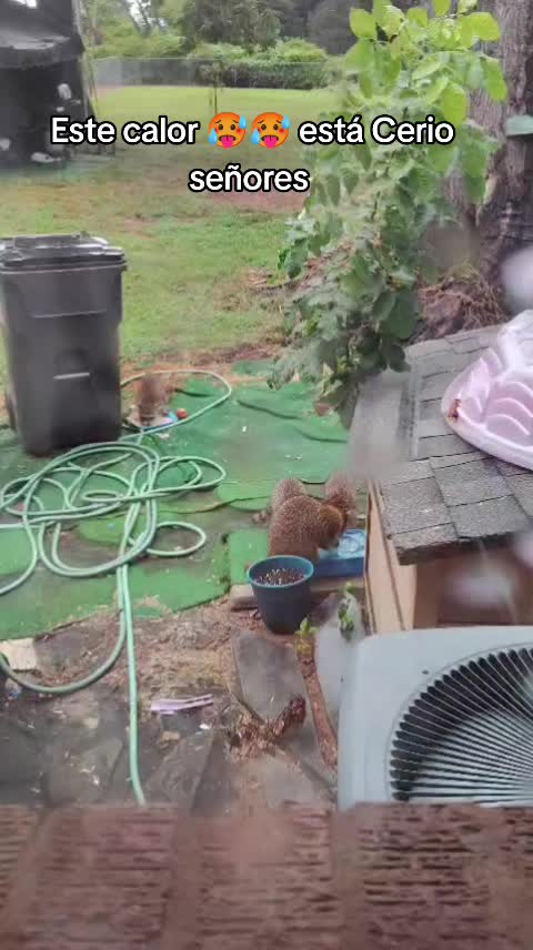 @Charlotte🐕🦺🐈🐕🦬🐐🐎🐄🐒