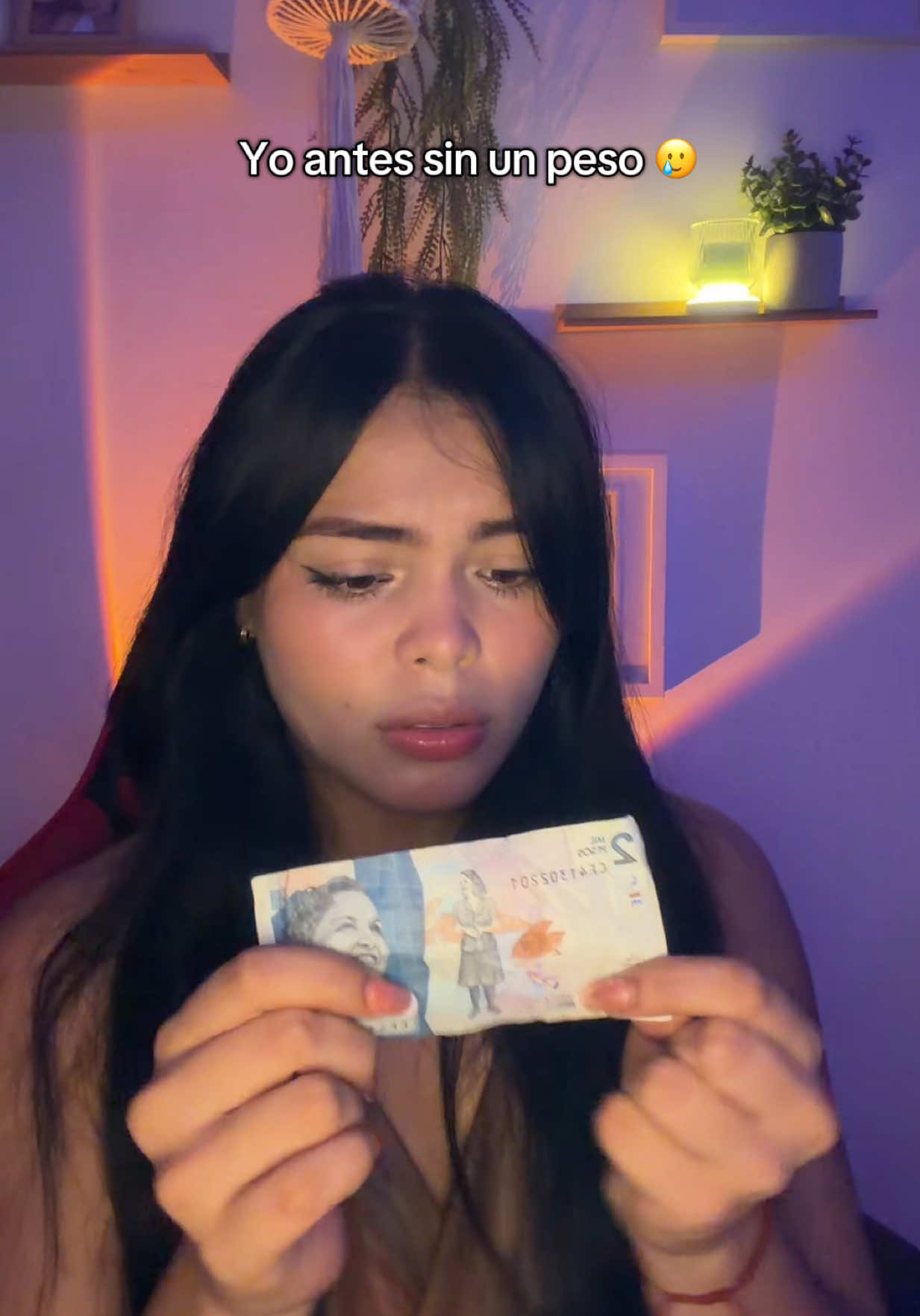 @Link en mi perfil