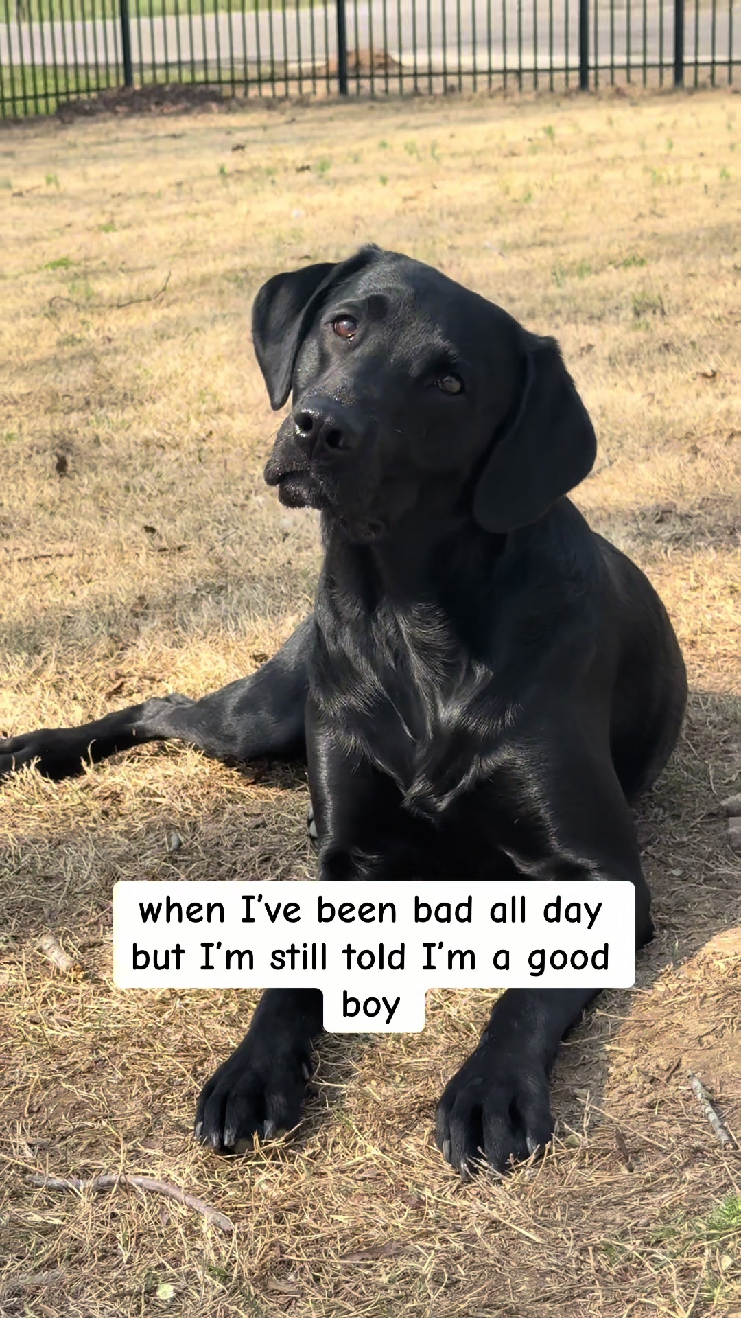 @ghostblacklab