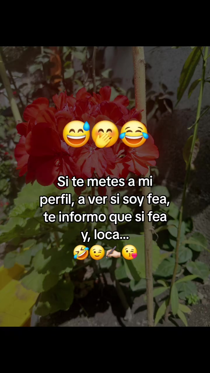 @caracu
