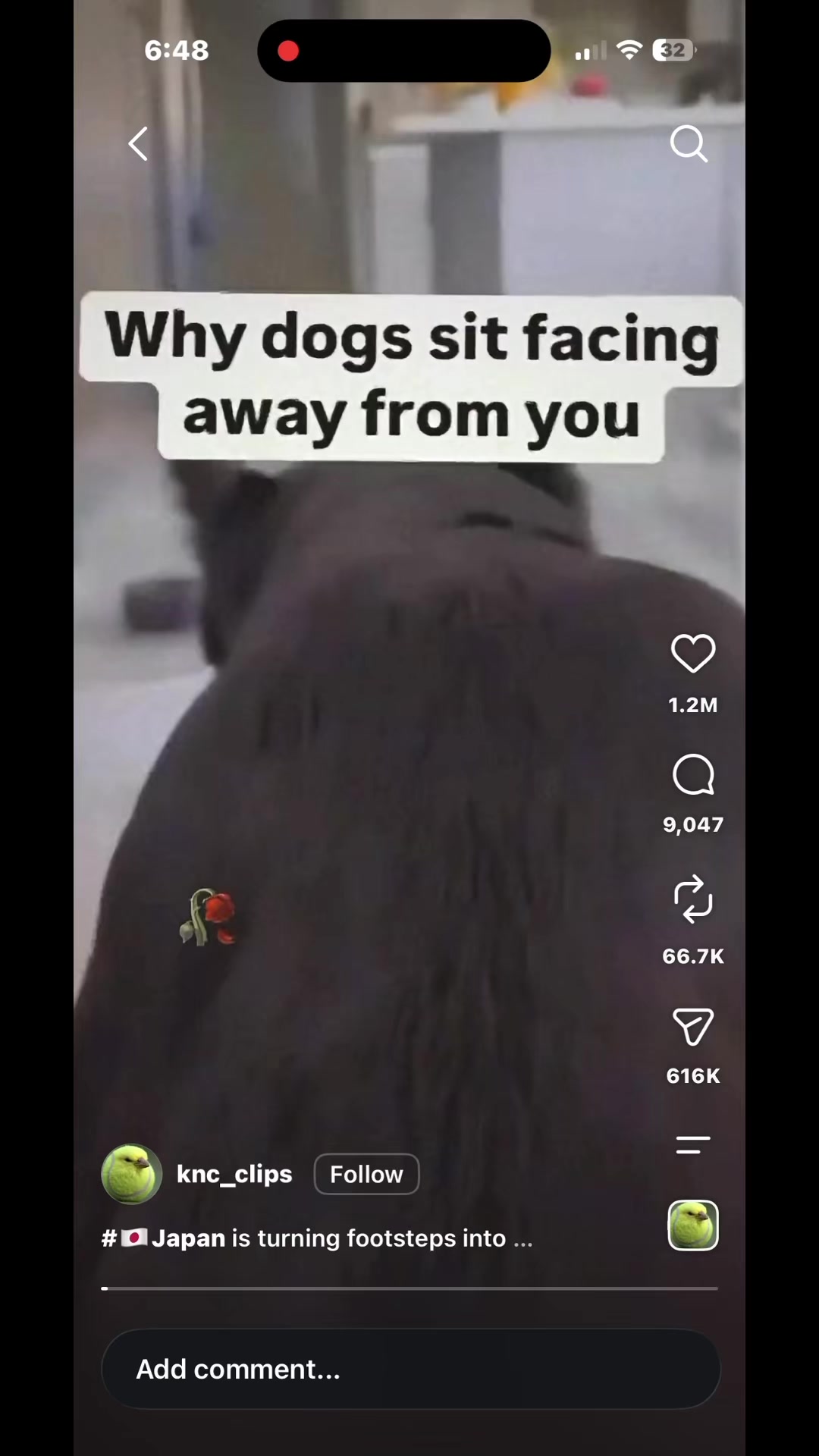 @Liam_Gerard