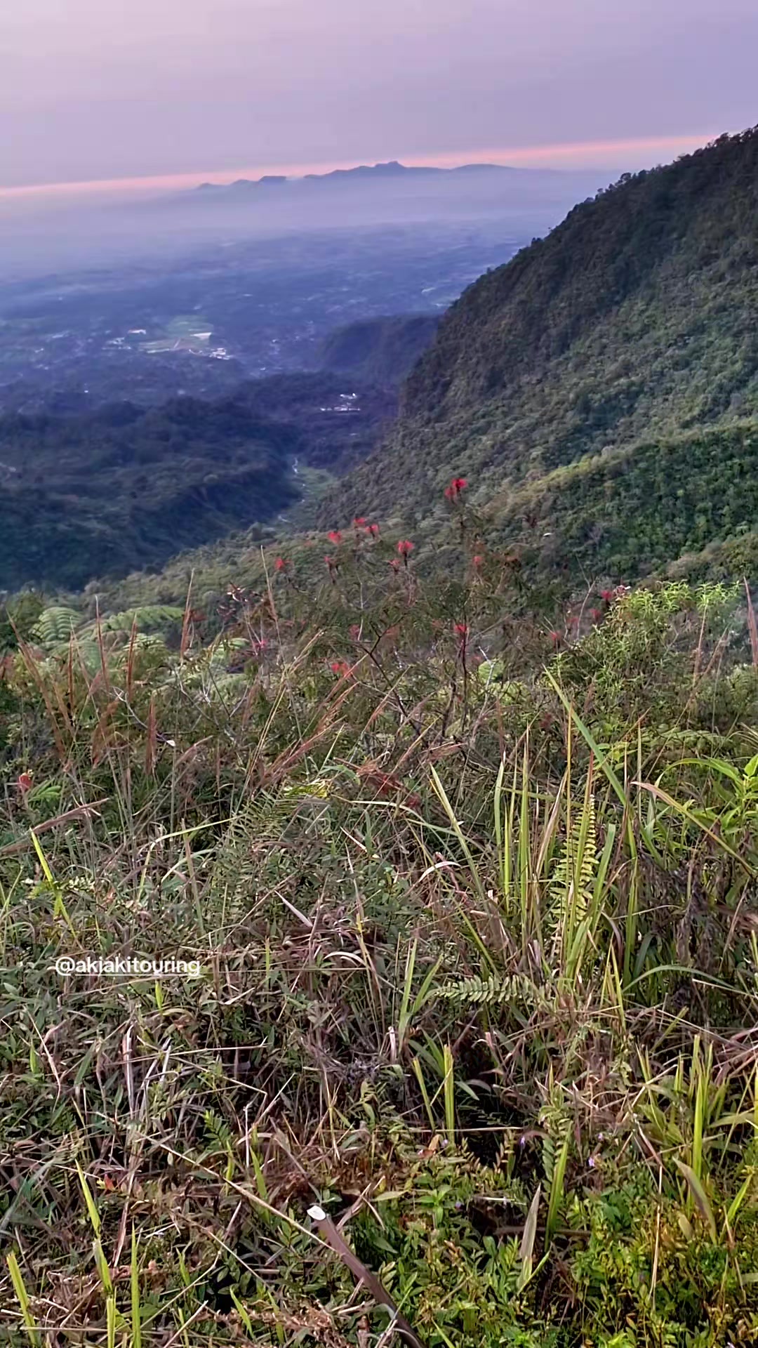 @akiakitouring