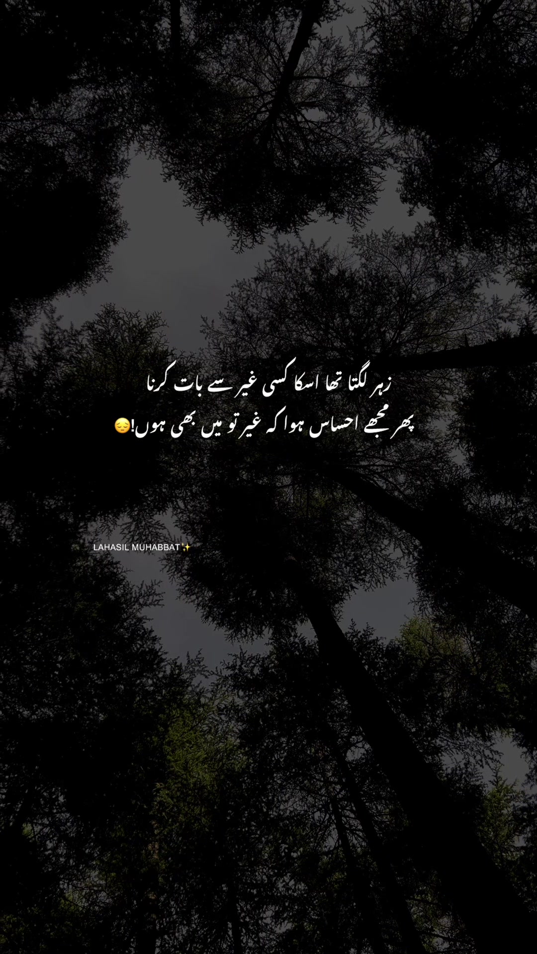 @لا حاصل محبت💔