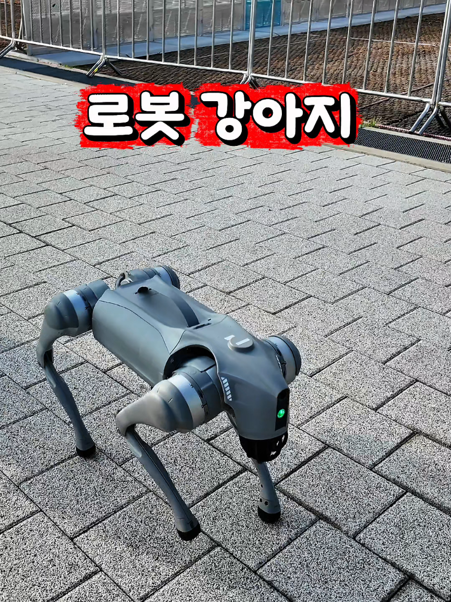 @아지엄지맘