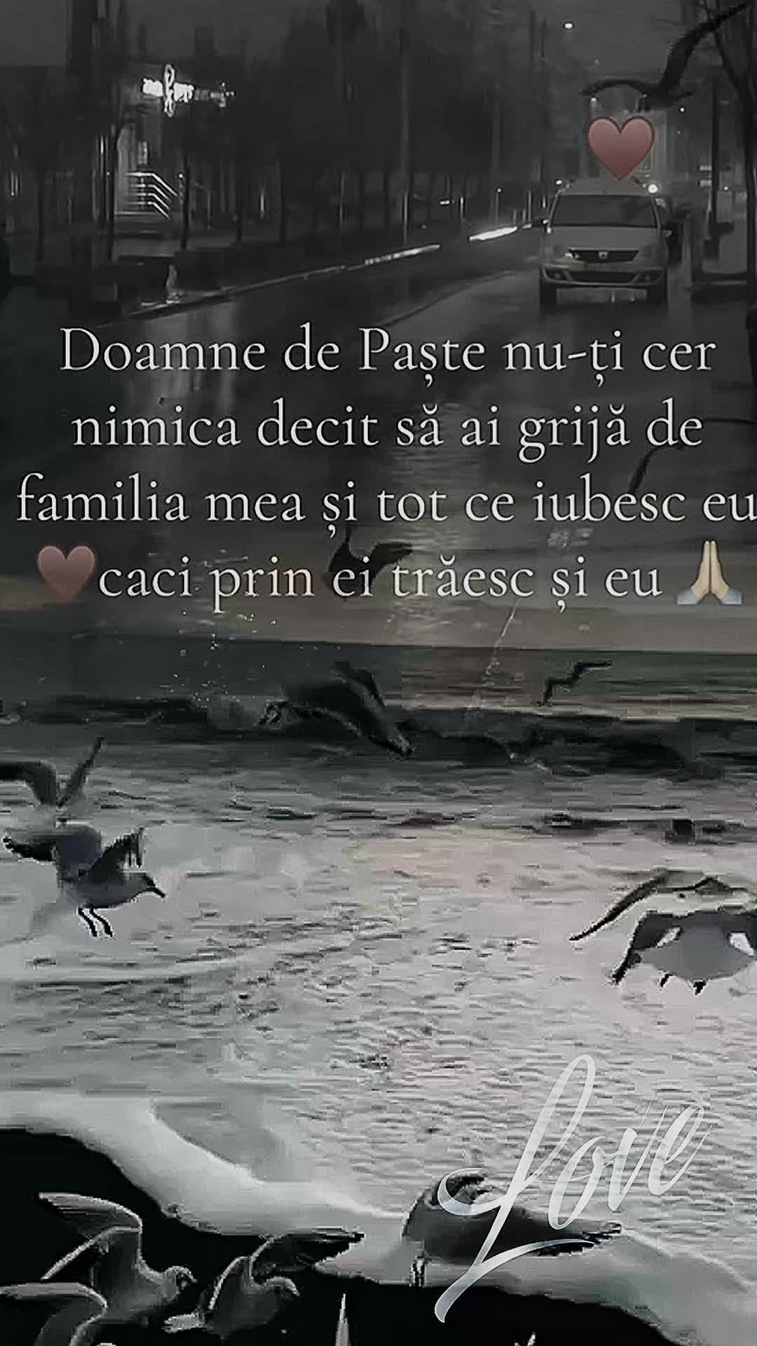 @Alexandra Stoica