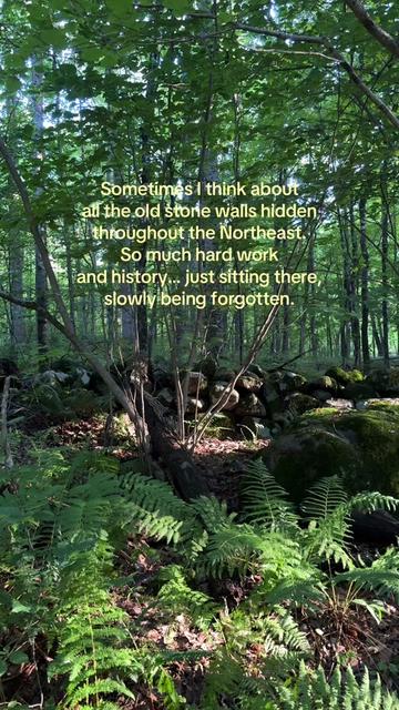 @Natalie Rose💙