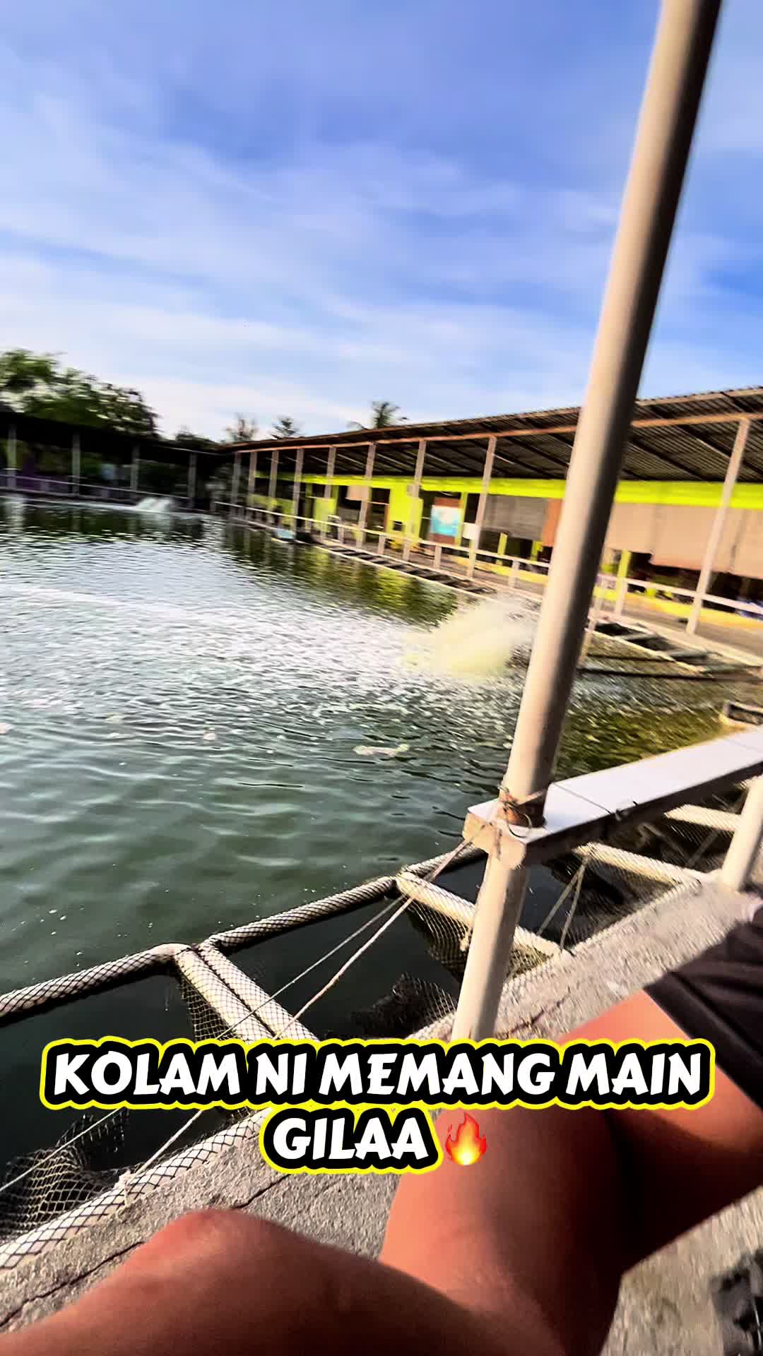 @M Z Reel 🎣