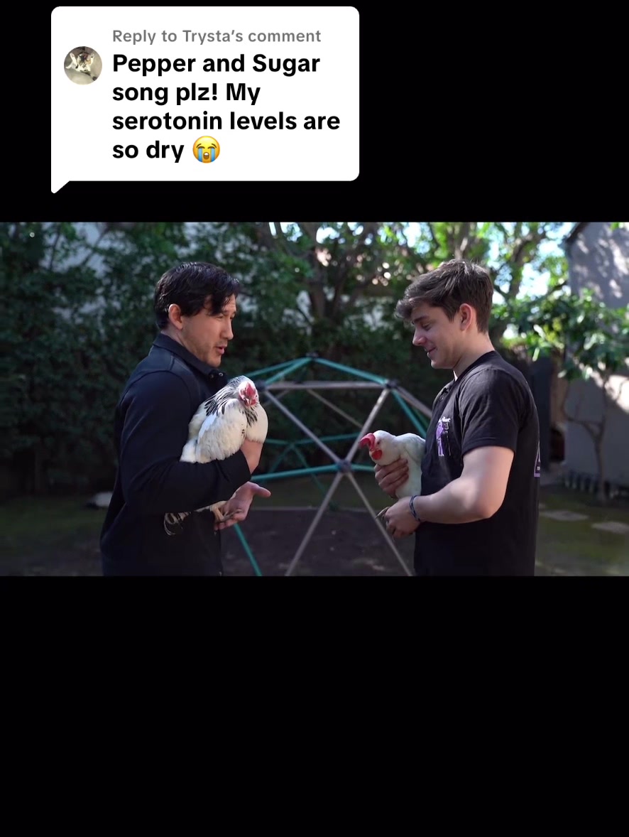 @unusannusmemories🖤🤍