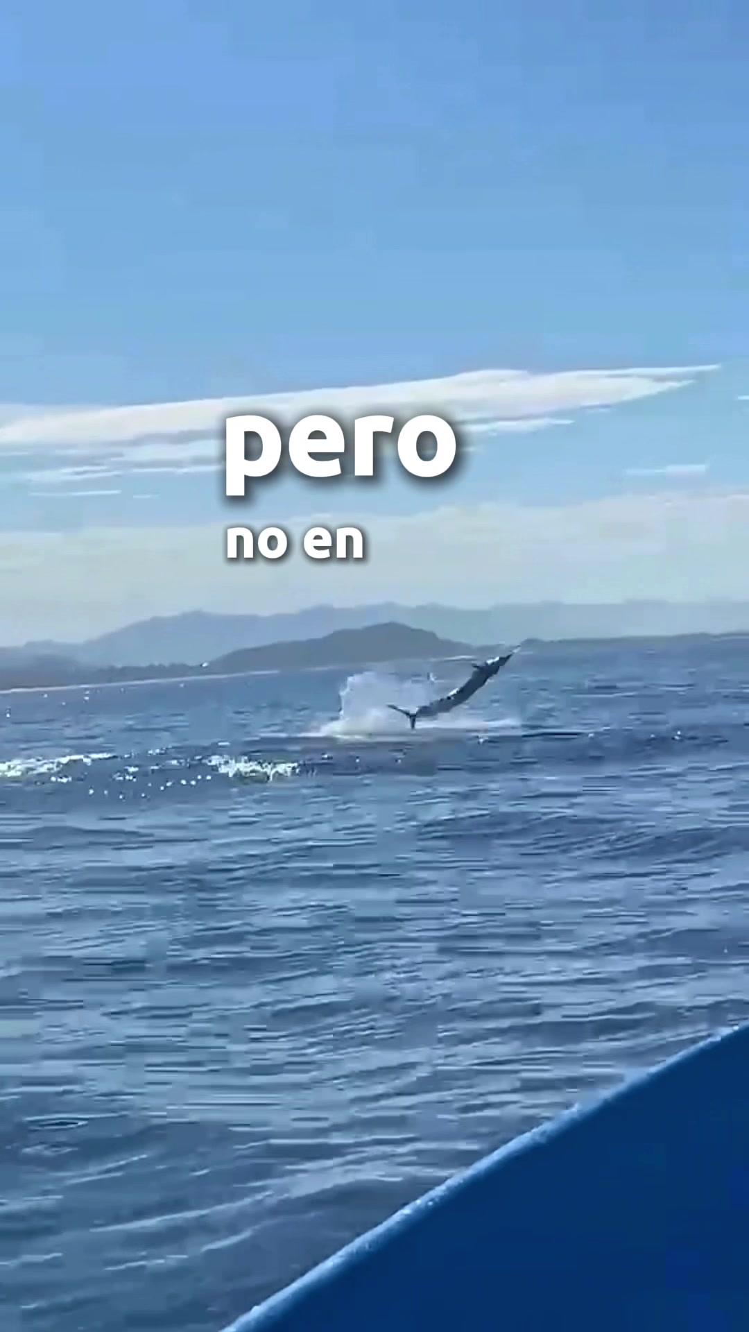 @Ranfery C. G. Sport_Fishing