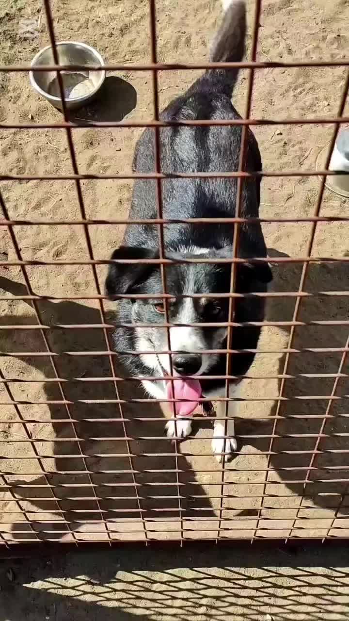 @Галина