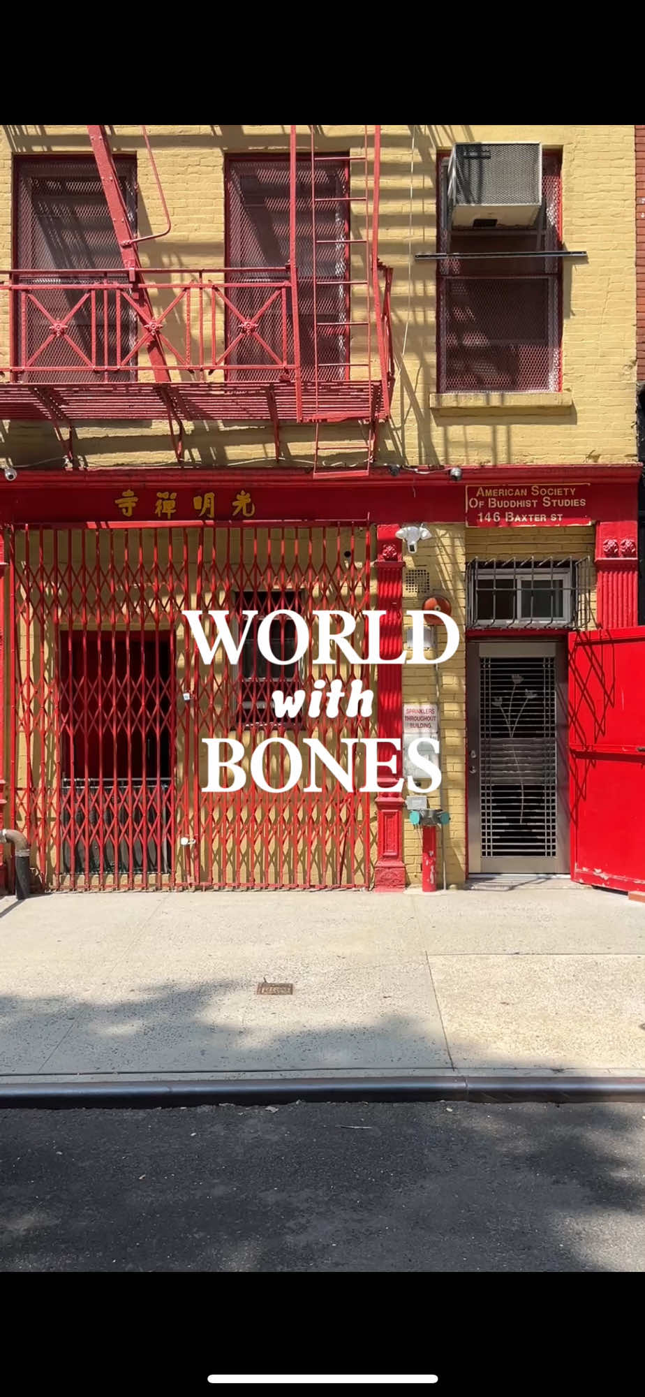 @wordswithbones